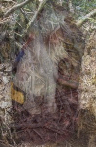 A mishmash of tree branches, roots, and forest floor, with a very fuzzy image of a child in the background.